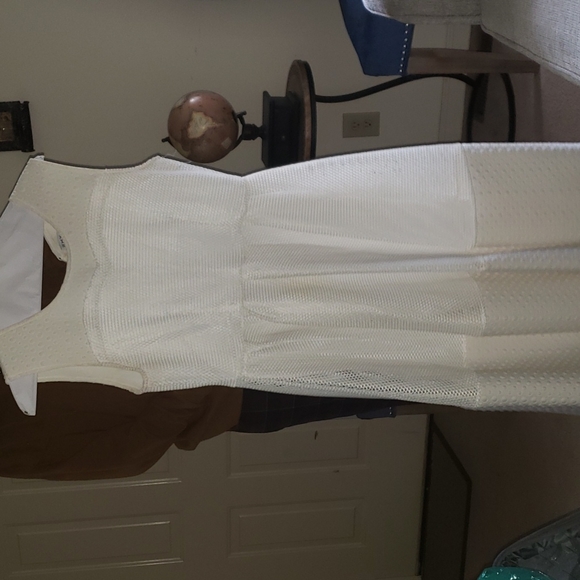 Ivory Skater Dress - Picture 1 of 4